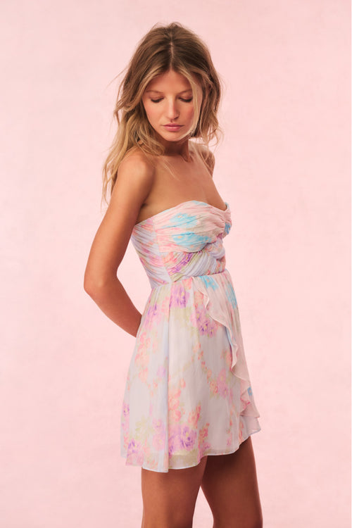 Rayne Floral Chiffon Mini Dress