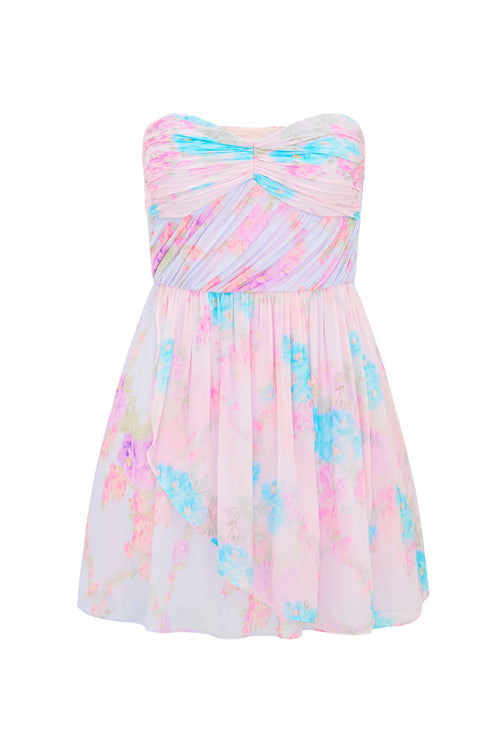 Rayne Floral Chiffon Mini Dress