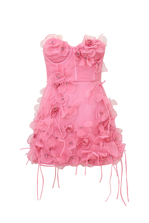 Sabila Organza Mini Dress